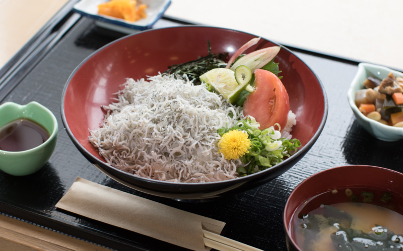 シラス丼